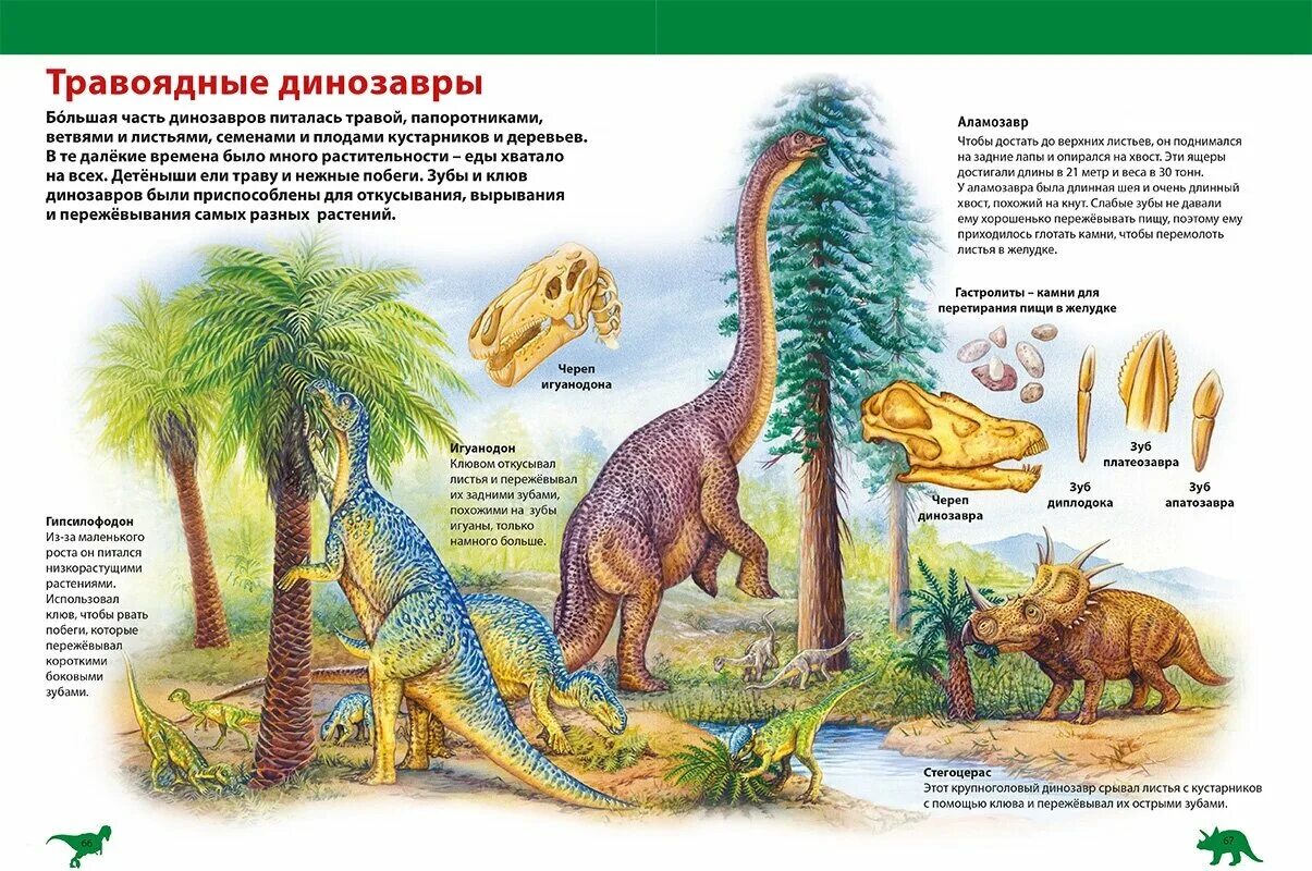 Развитие динозавров. Динозавры из энциклопедии. Энциклопедия. Динозавры. Энциклопедия травоядные динозавры. Древо динозавров.