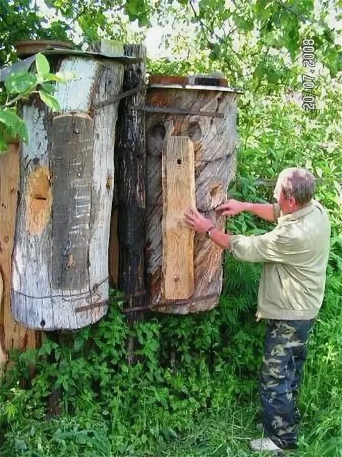 Колода для пчел из бревна. Улей борть колода. колодное пчеловодство прокоповича. улей дуплянка. дуплянка для пчел.