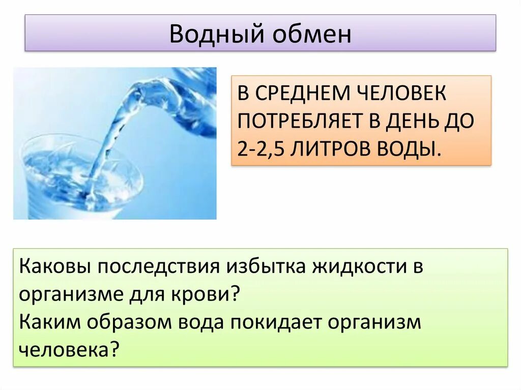 Каковы функции воды. Обмен воды в организме. Водный обмен в организме. Водный обмен. Обмен воды в организме схема.