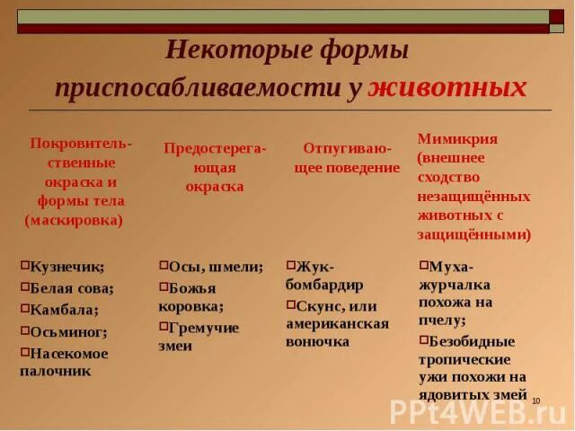 Какой я тип животного. Защитные приспособления у животных таблица. виды окраски у животных. виды окраски животных таблица. типы приспособительной окраски у животных.