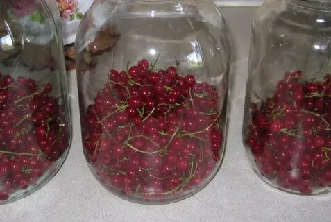Можно ли сделать компот из красной смородины