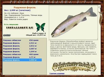 Вес форели