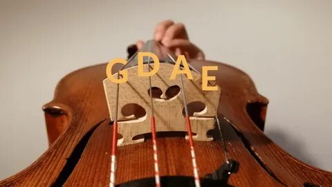 Violin string
