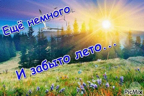 Н е лето