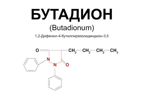 Ортолон 2.3