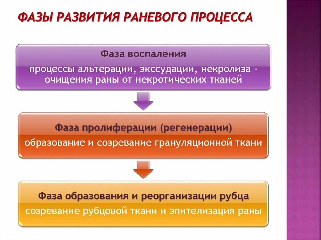 Три основные стадии. Фазы раннего процесса РАН. Стадии течения раневого процесса. Фазы развития раневого процесса.