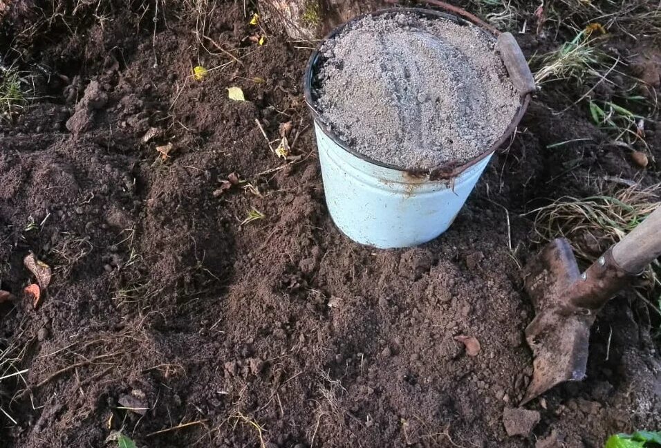 Можно ли добавлять золу при посадке. Древесная зола против проволочника. Раскисляем почву золой. Зола для огорода. Подготовка почвы на огороде.