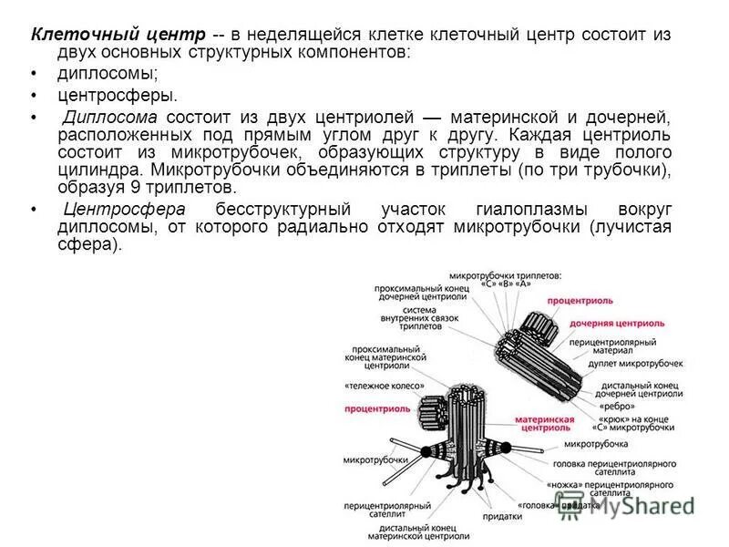 Цитадель знаний О людях, о технологиях, о науке и не только... ВКонтакте