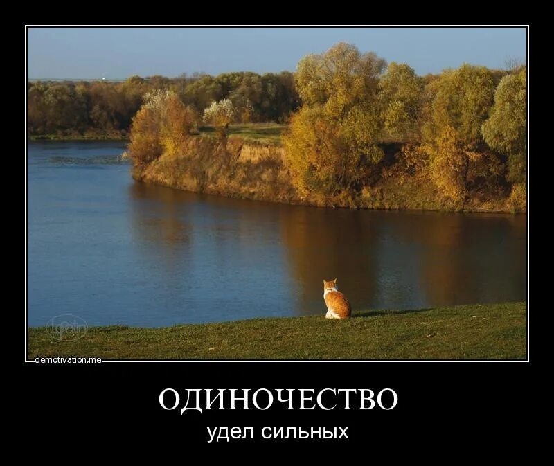 День довольных одиночеством