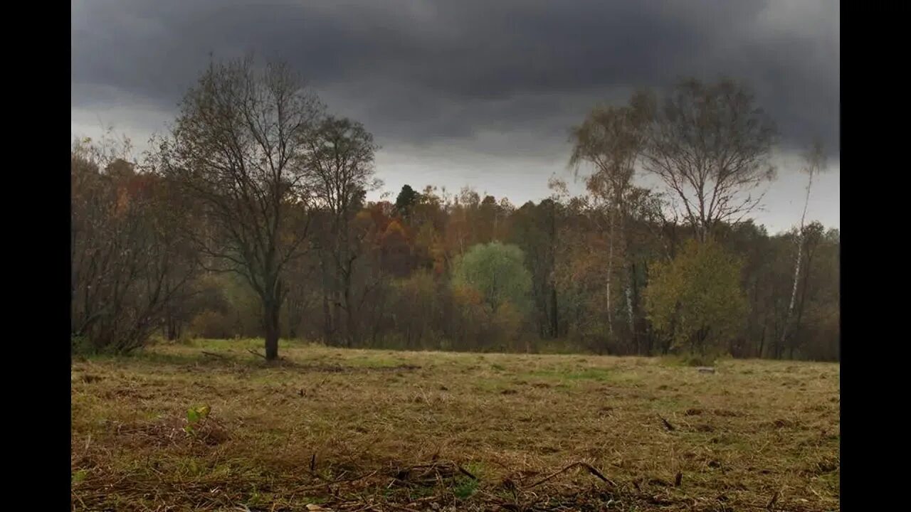 Пасмурный день холодный ветер. Пасмурная осень. пасмурный осенний день. хмурая осень. пасмурная осень в лесу.