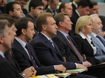 Правительство помощник