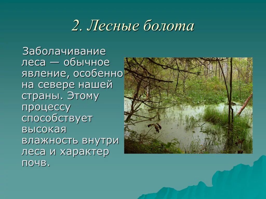 Болото по составу. Презентация на тему болота. Презентация о болоте. Презентация на тему болото. Болота доклад.