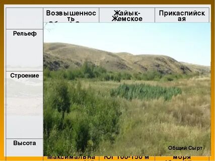 Прикаспийская низменность высота
