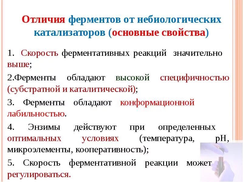 Химические действия ферментов. Характеристика ферментов как биологических катализаторов. Общая характеристика свойств ферментов. Свойства ферментов как белковых катализаторов. Особенности действия ферментов.