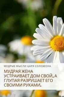 Мысли короля