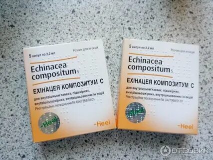 Эхинацея в ампулах отзывы