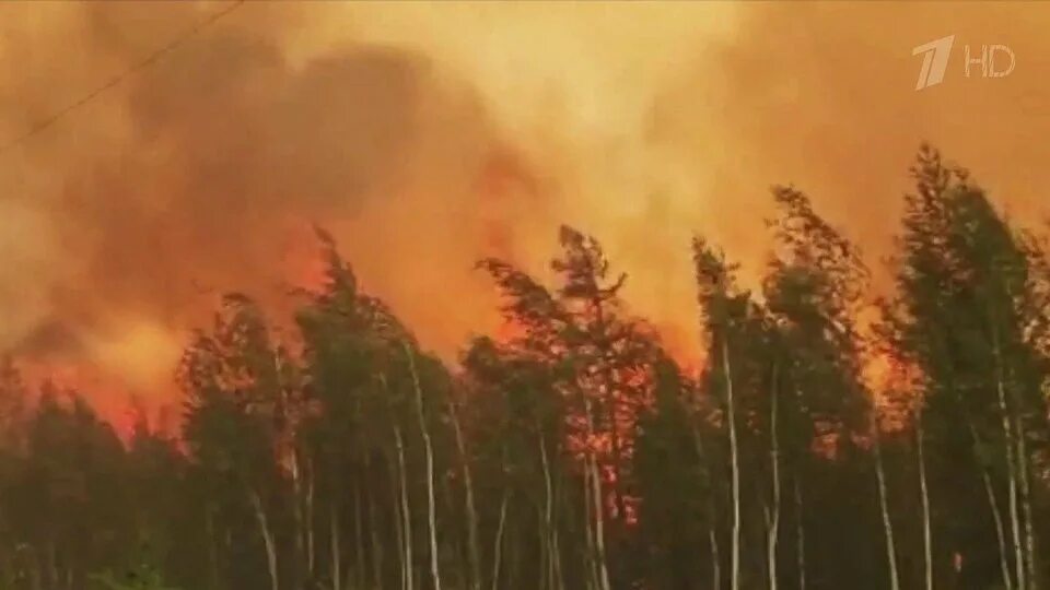 Пожары 2017 год. Лесные пожары в Якутии 2021. Якутск пожары 2021. Тушение пожаров в Якутии 2021. Саха Якутия пожары 2021.