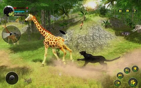 Включи играть животные
