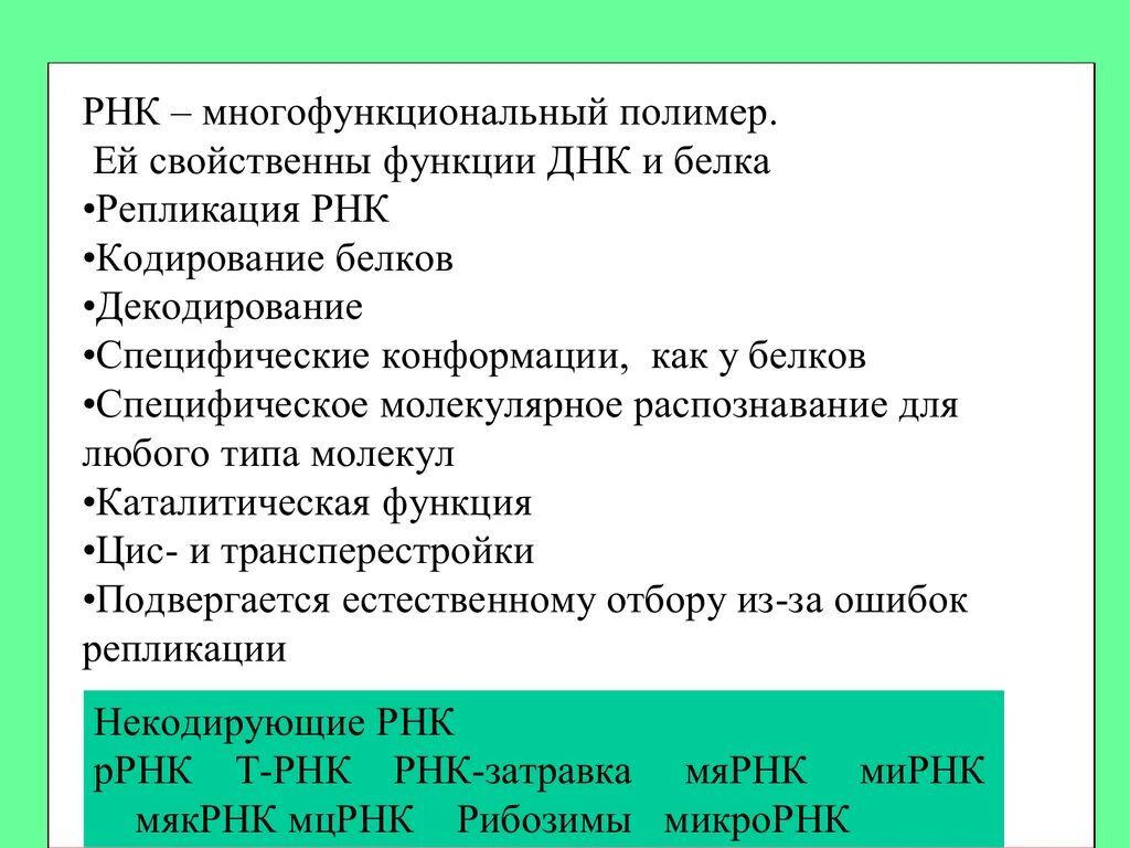 Малые ядрышковые РНК. Малые цитоплазматические РНК. Малая цитоплазматическая РНК. Малые ядрышковые РНК функции.