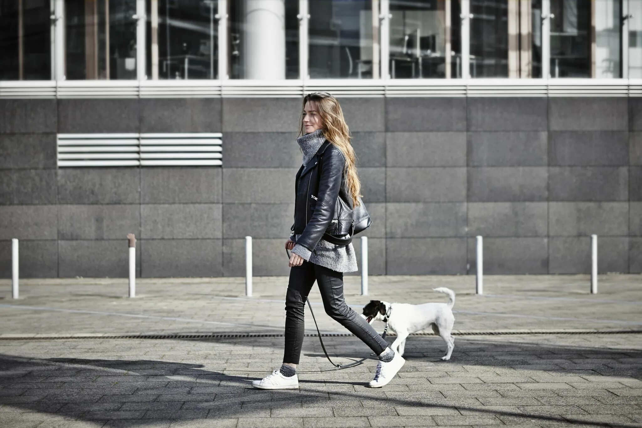 Where is her dog. Левушка с собаками гуляет. Девушка гуляет с собакой. Женщина гуляет сосбакой. Девушка на прогулке с собакой.