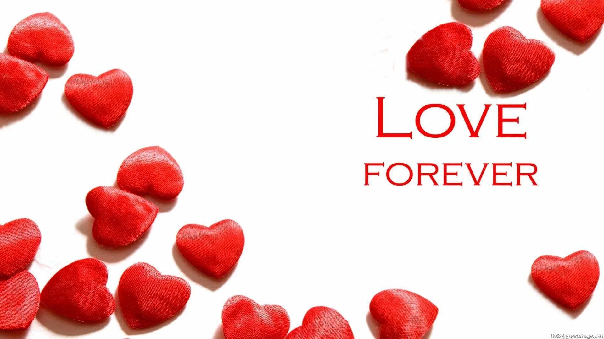 I love you forever картинки. Love you forever. Could love forever. Can i keep you. Could love forever.