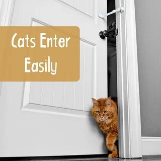 Made the door