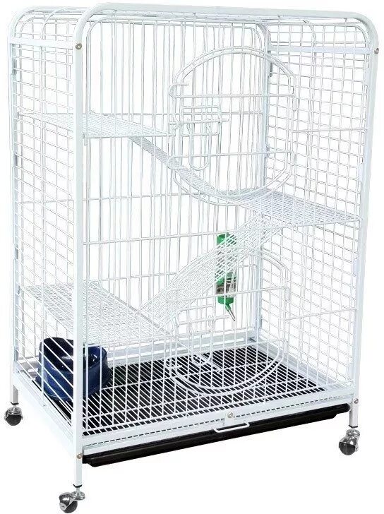 Клетка для крысы ferplast furet. Kredo d801. Клетка 80 40 60. Midwest клетка для хорьков ferret nation. 2x82см.