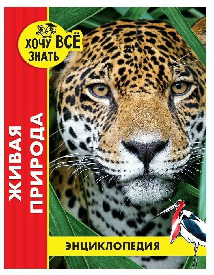 Живая природа окружающий мир. Природа в литературе. Живая природа и человек литература. Список книг о живой природе. Живая при.
