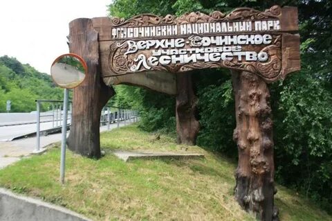 Лазаревское лесничество
