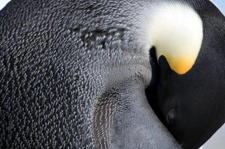 20 Pics Reveal What Everyday Things Look Like Under a Microscope / Bright Side