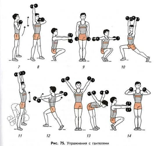 Комплекс упражнений с гантелями (10-12 упражнений). Занятия для рук с гантелями для женщин комплекс упражнений. Упрочненияс гантелями. Комплекс упражнений с гантелямм. Зарядка с гантелями для женщин