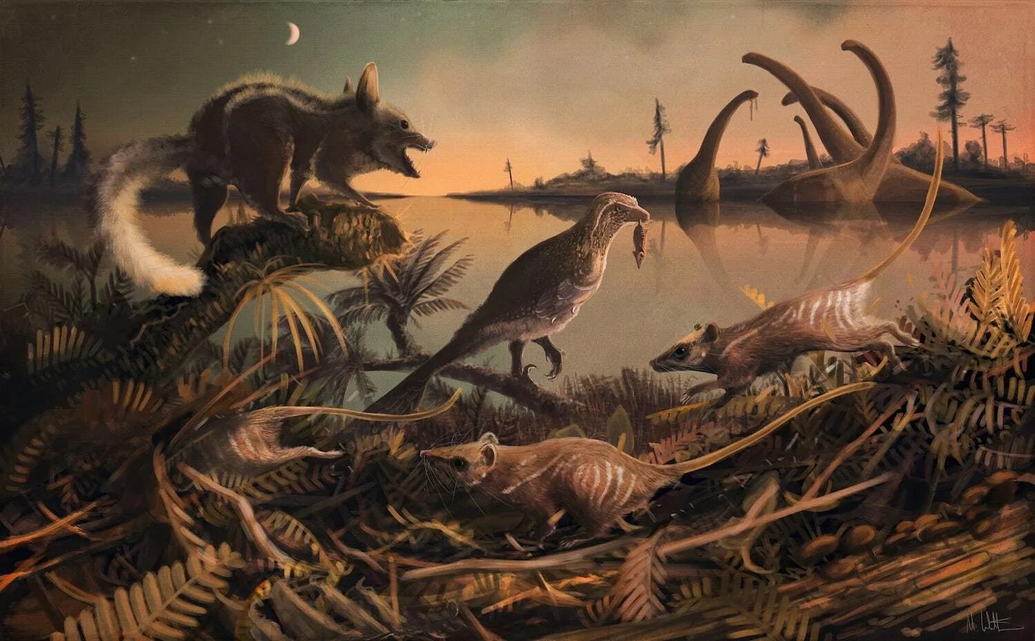 Появление динозавров эра. Меловой период мезозойской эры. Динозавры мезозойской эры. Юрский период мезозойской эры. Плацентарные млекопитающие Юрского периода.
