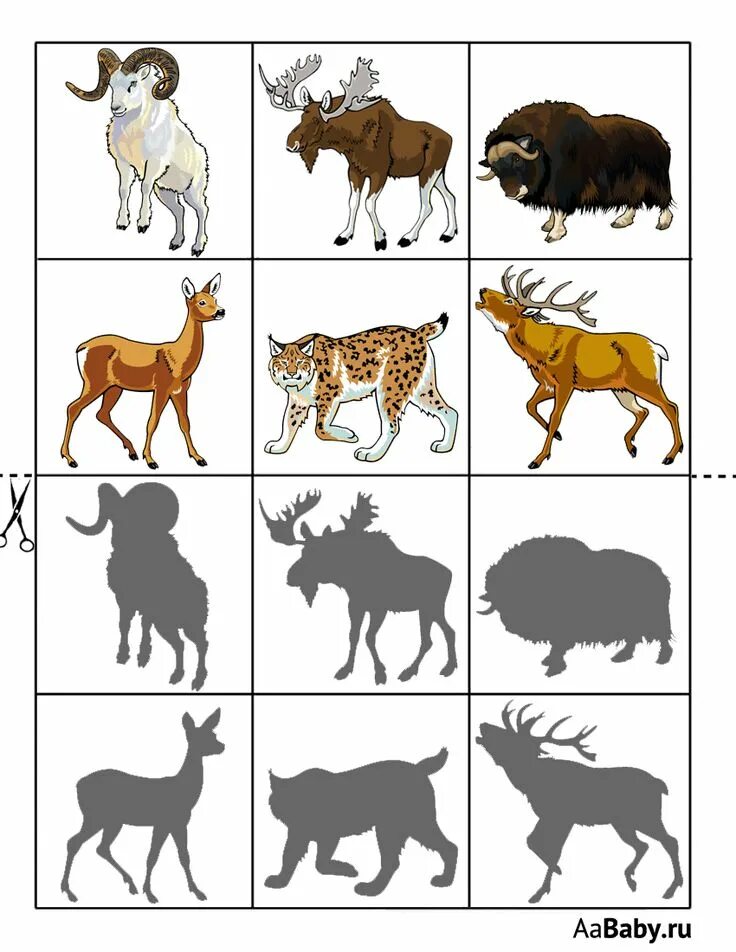 Логическая игра для детей &laquo;Угадай, где чья тень&raquo; Animal acti