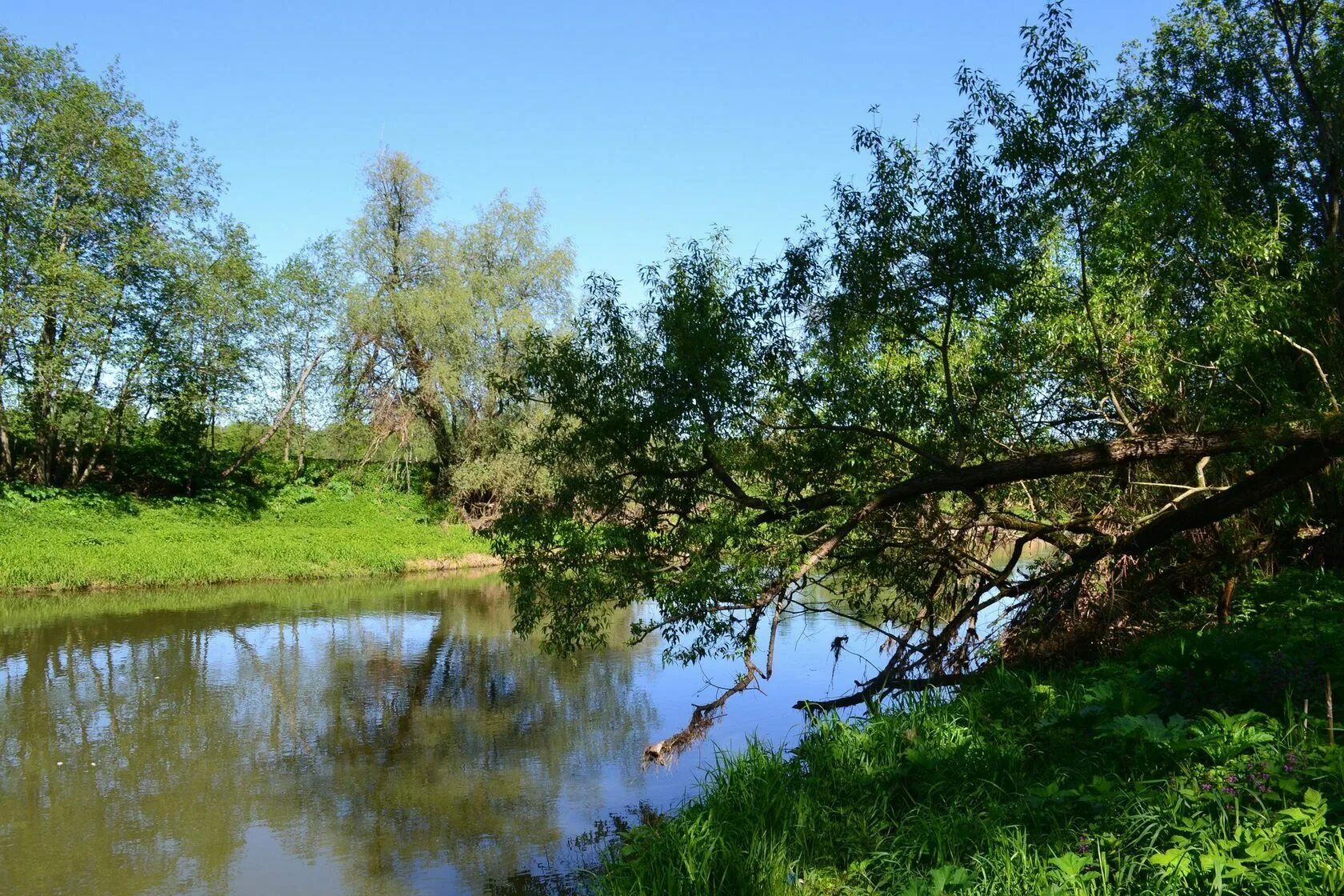 Пруд лилии живерни. Дачный посёлок сады на реке. Сады на реке 3. Сады у реки фряновское шоссе. Живерни ручей и мостик пруда.