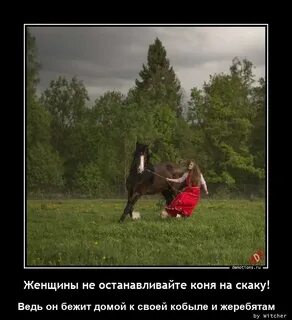Поднял на скаку