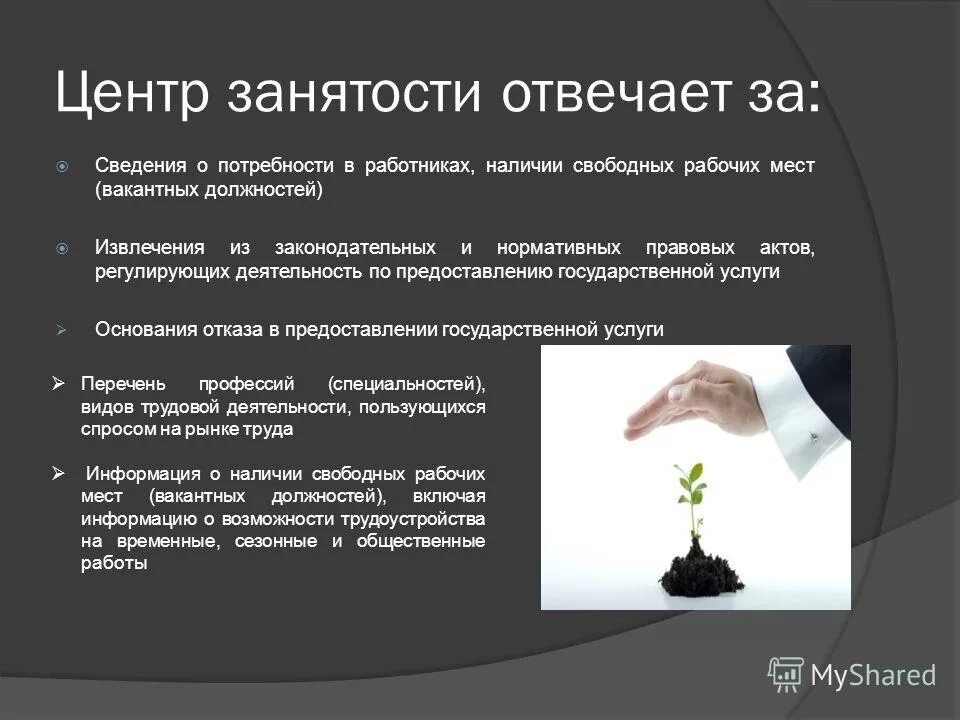 Справка о наличии или отсутствии вакантных мест. Неправильное расположение предметов в офисе охрана труда фото. Наименование населенного пункта рождения. В случае отсутствия информации. Структурный вид безработицы примеры.