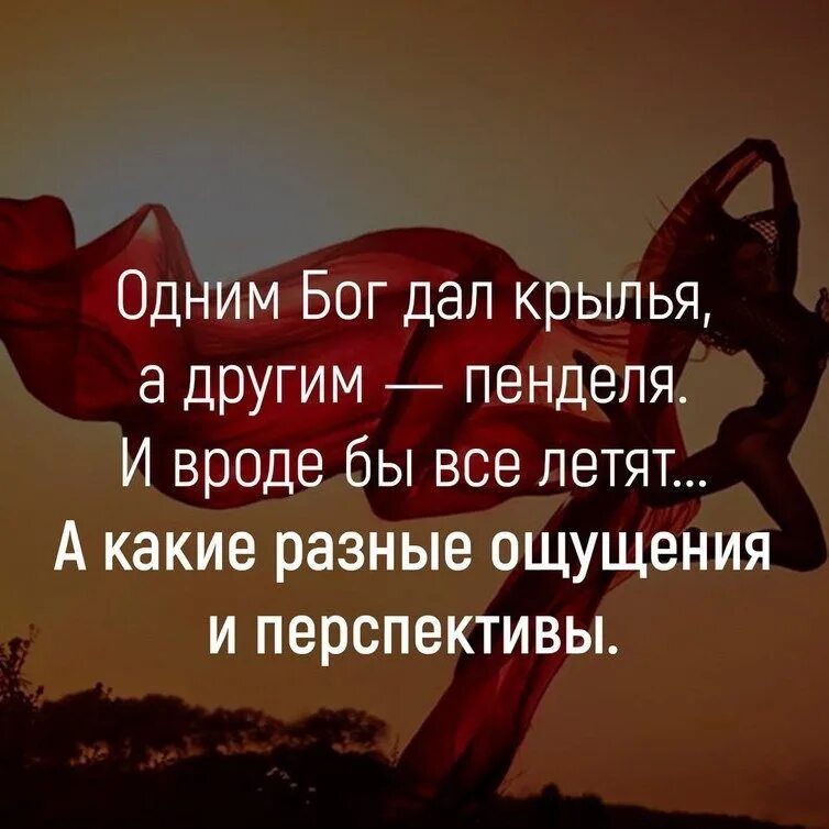 Мне бы дать крылья. Одним бог дал крылья а другим пенделя. интересные высказывания. высказывания про крылья. цитаты про крылья.
