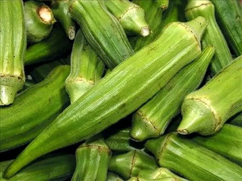 Food security: your questions answered University of Cambridge