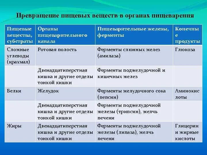 Функции ферментов пищеварения. Функции органов пищеварительной системы человека таблица. Превращение пищевых веществ в органах пищеварения. Таблица питательные вещества в пищеварительной системе. Расщепление питательных веществ в органах пищеварения.