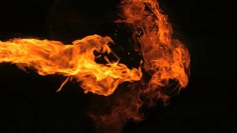 Fire official