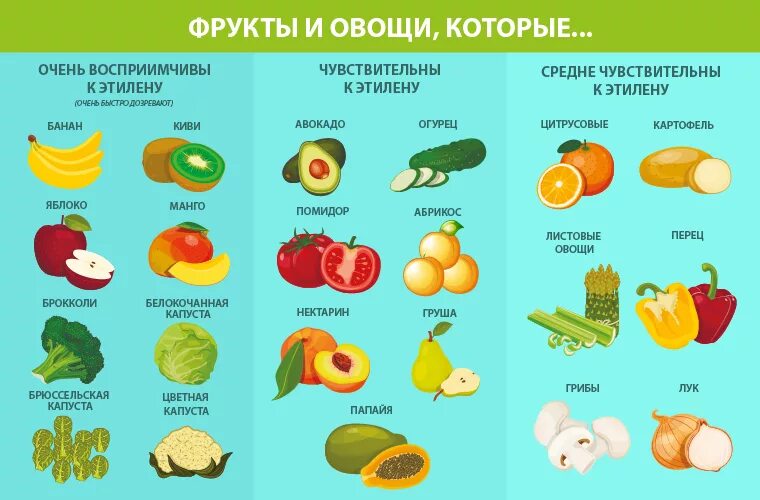 Какие фрукты м. Этилен в овощах и фруктах. овощи и фрукты выделяющие этилен. овощи и фрукты таблица. овощи которые бывают.
