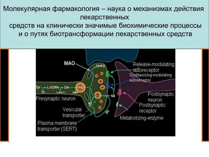 Механизм действия фармакология