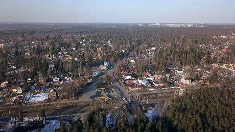 Курортный на песочном спб