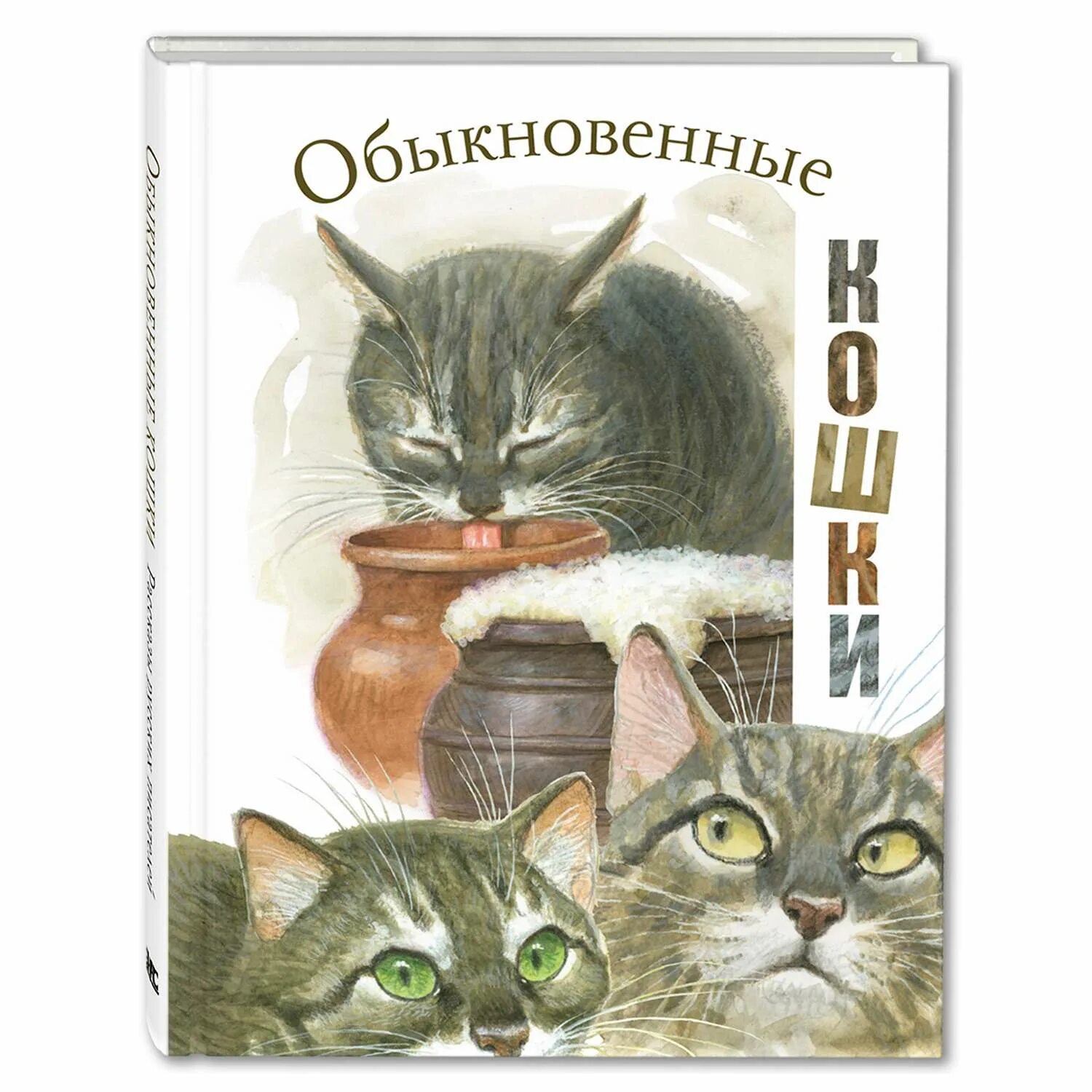 Книга обыкновенный говорящий кот. Обыкновенные кошки книга. Обыкновенная кошка Чаплина. Детские произведения про кошек.