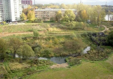 Новокосино кучина