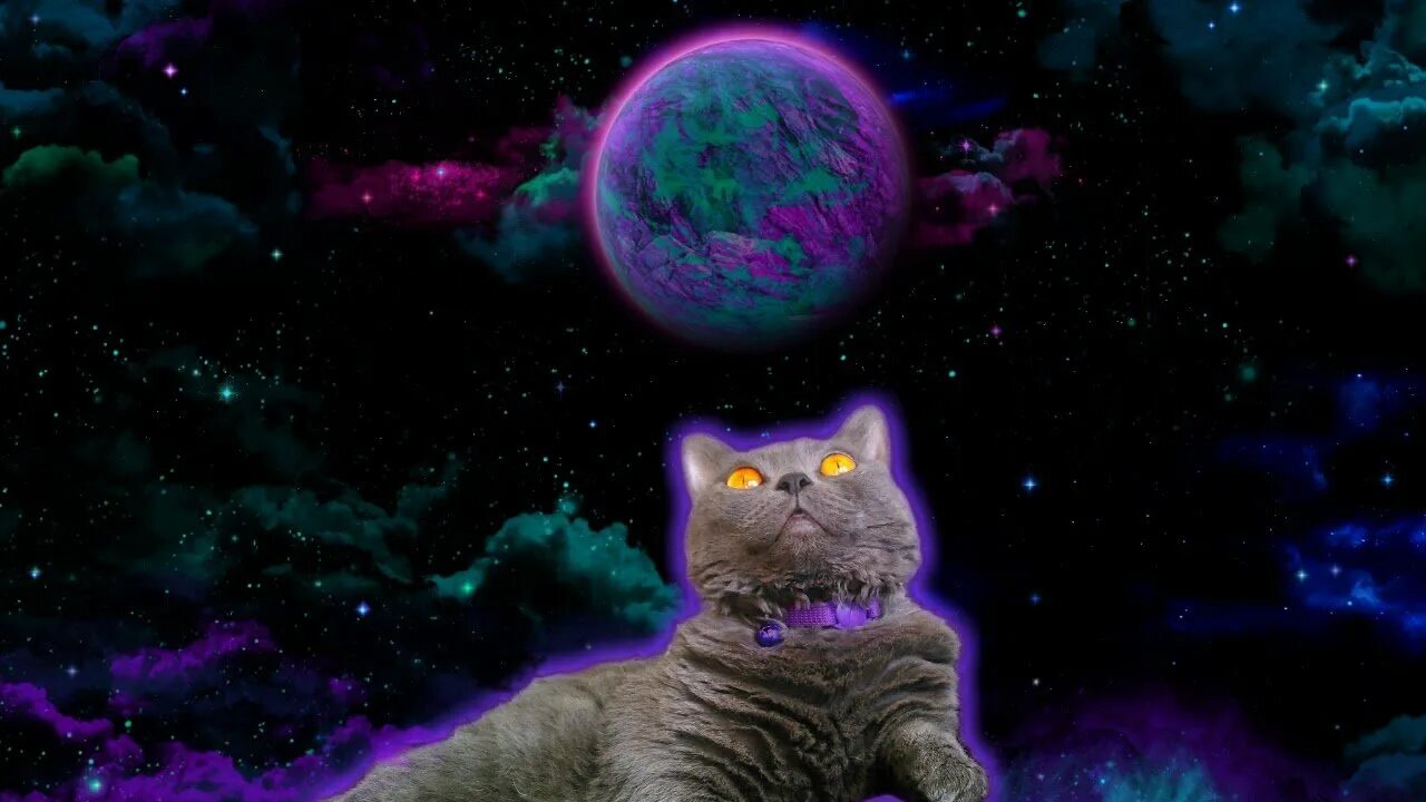 Космический кот. Кот в космосе. Живые обои космос. Анимационные картинки на рабочий стол. Живые обои s