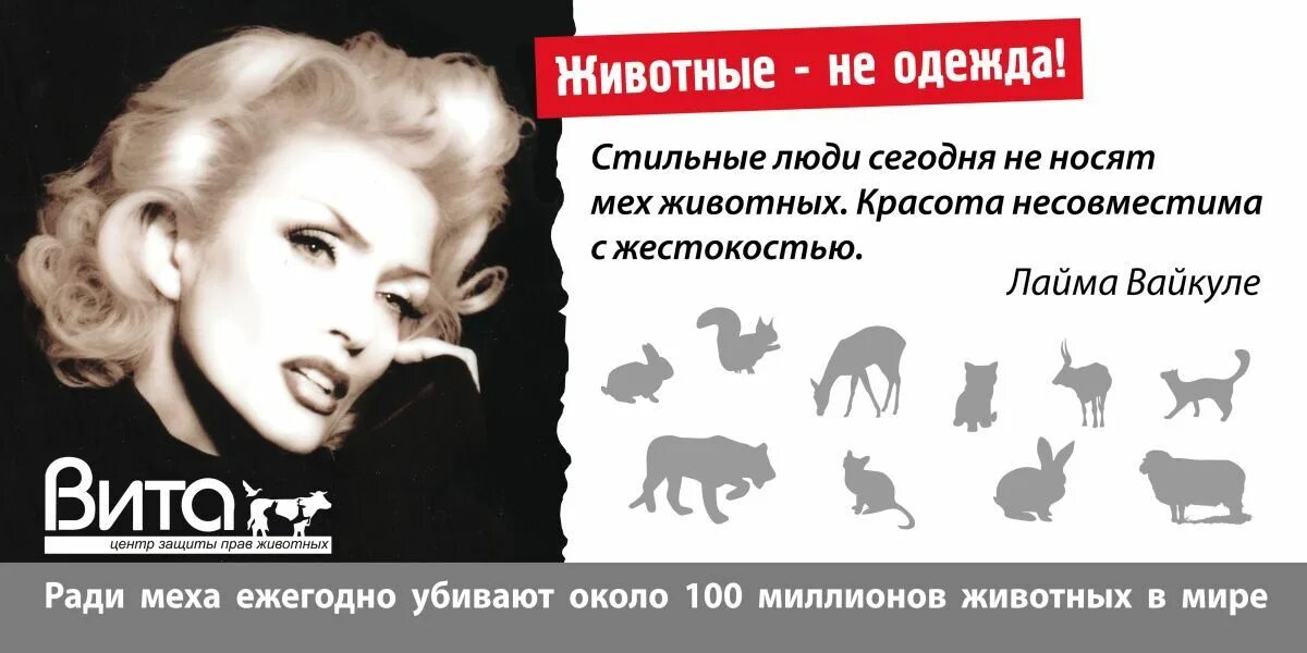 Не носите мех. Социальная реклама защита животных. социальная реклама меха.