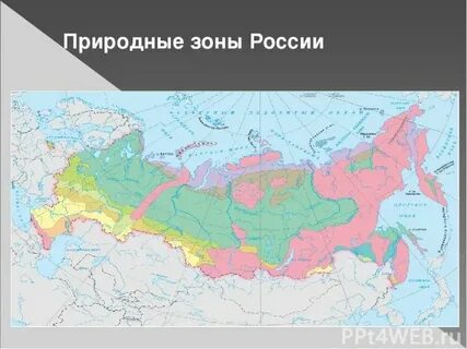 Переходные природные зоны 4 класс