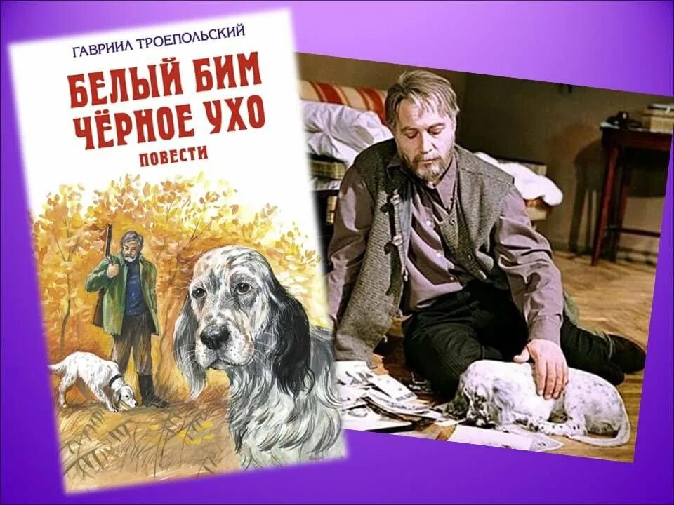 Читать книгу белый бим полностью. Г н троепольский белый бим черное ухо. троепольский белый бим черное ухо книга.
