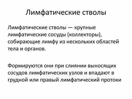 Лимф стволы